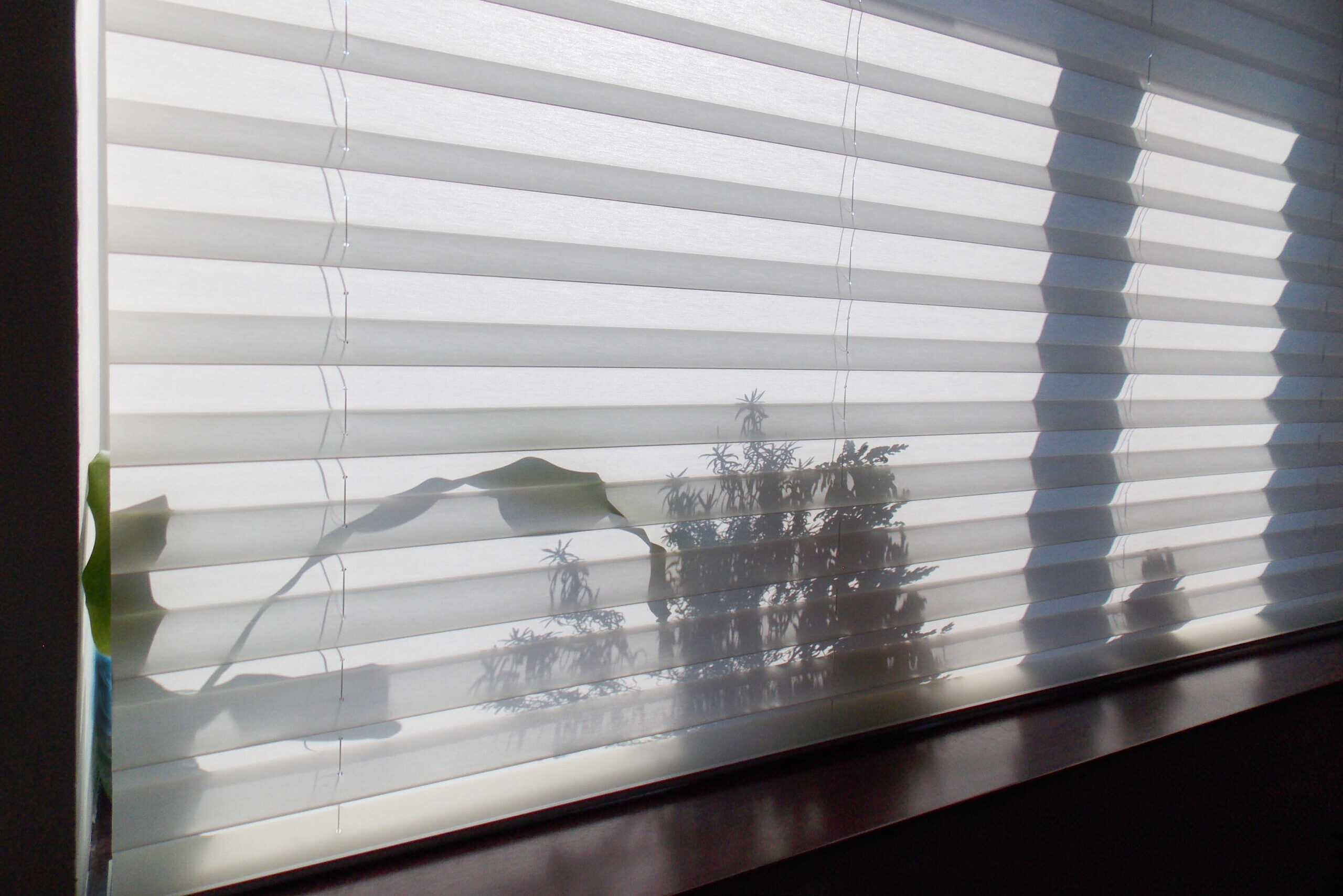 Pleated,Blinds,Xl,,White,Color,,With,50mm,Fold,Closeup,In