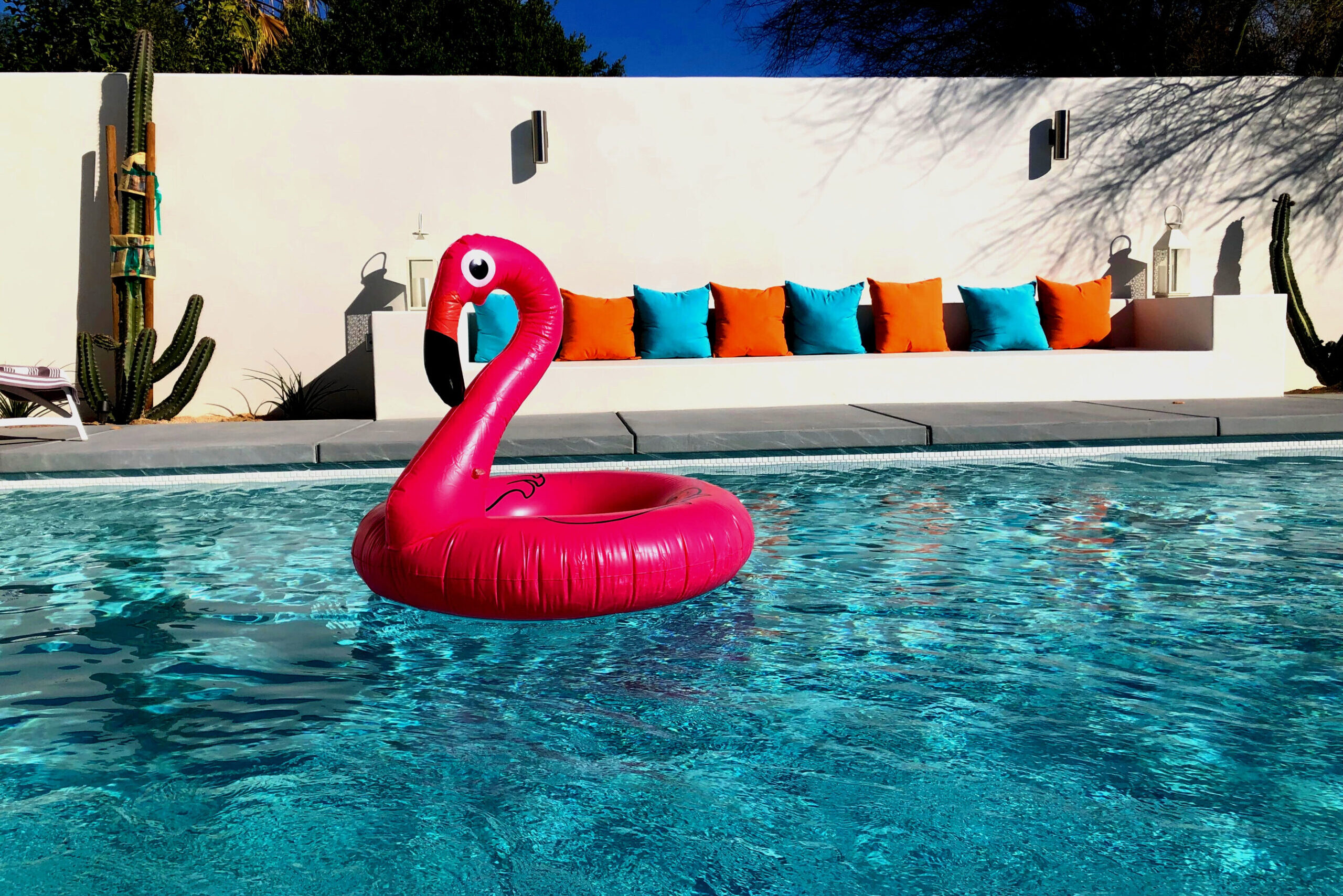 Flamingo,Floatie,In,Pool
